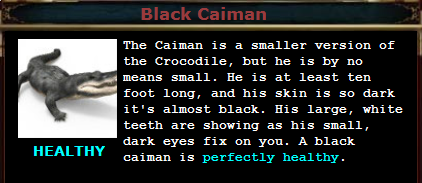 Black caiman.PNG