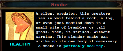 Snake.PNG