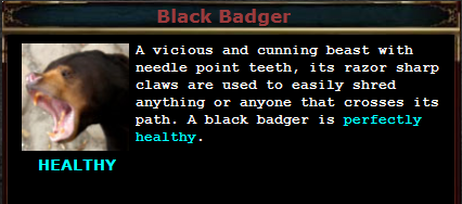 Black badger.PNG