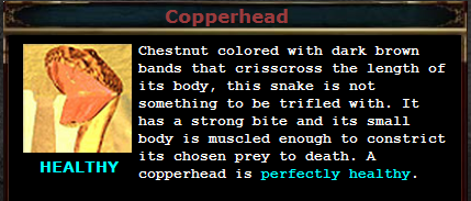 Copperhead.PNG