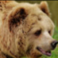 Thumbnail for version as of 01:35, 15 October 2020